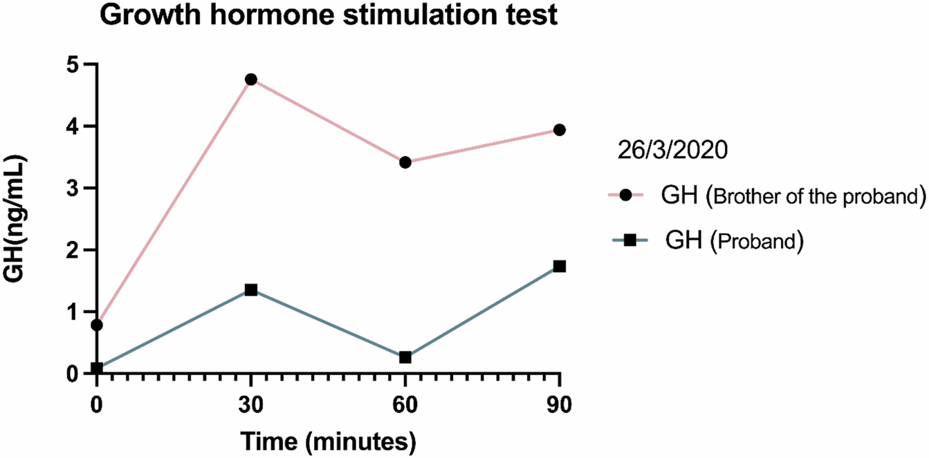 Functional study of two siblings with isolated growth hormone deficiency and pituitary MR imaging abnormalities caused by a novel HESX1 variant