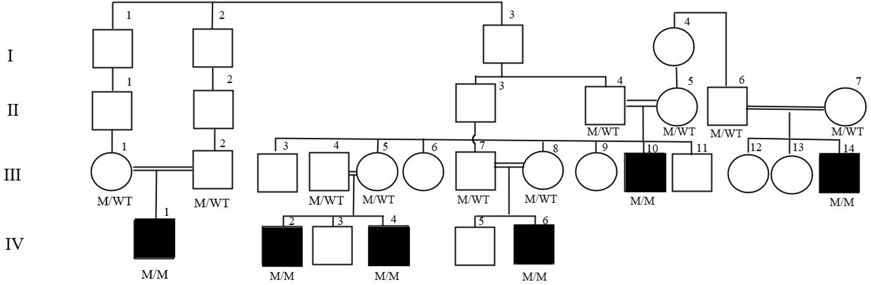 An evaluation of cases of disorders of sex development related to