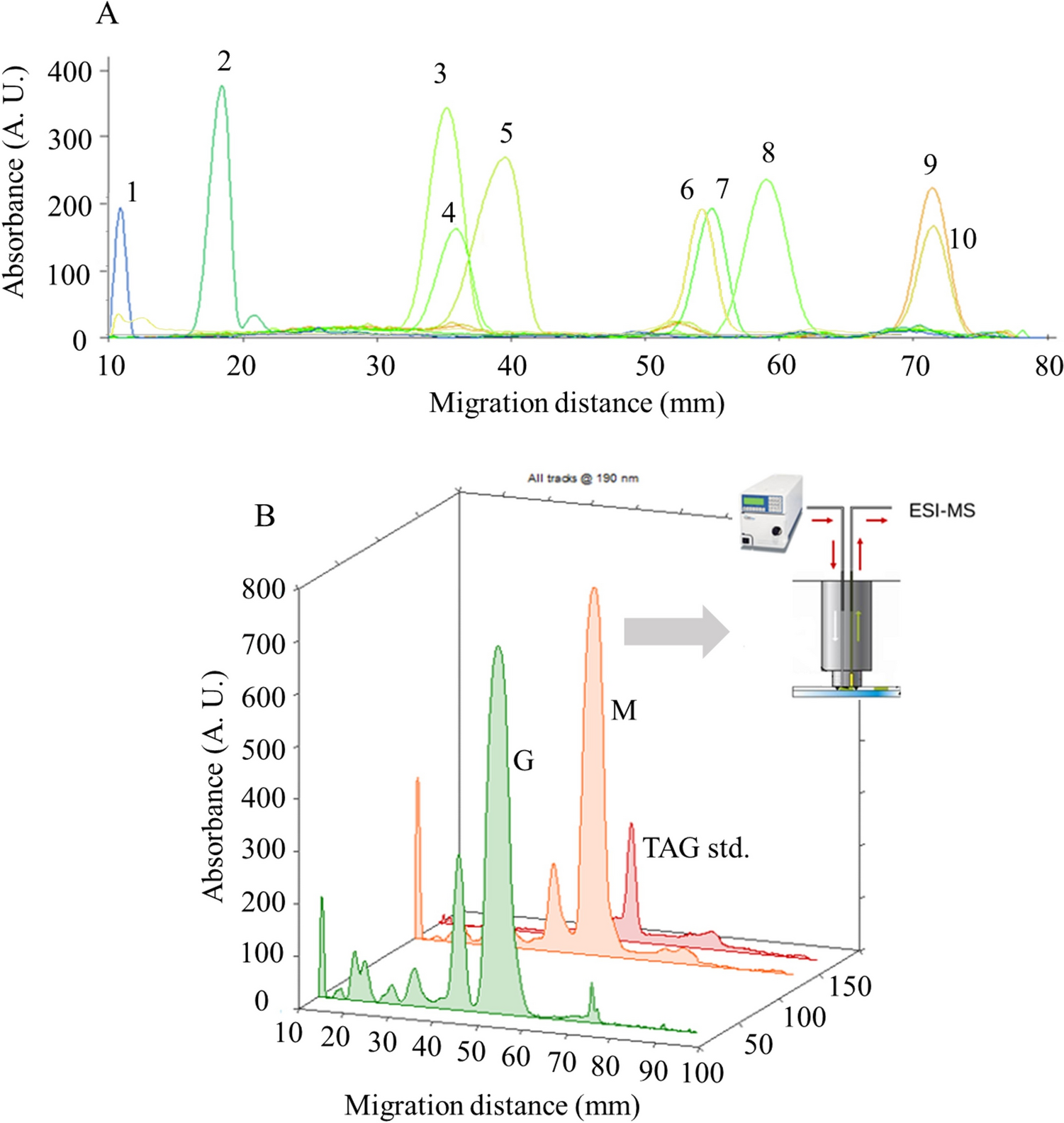 The valuable role of high-performance thin-layer chromatography in the lipidomic analysis of , an emerging feedstock for biofuel production