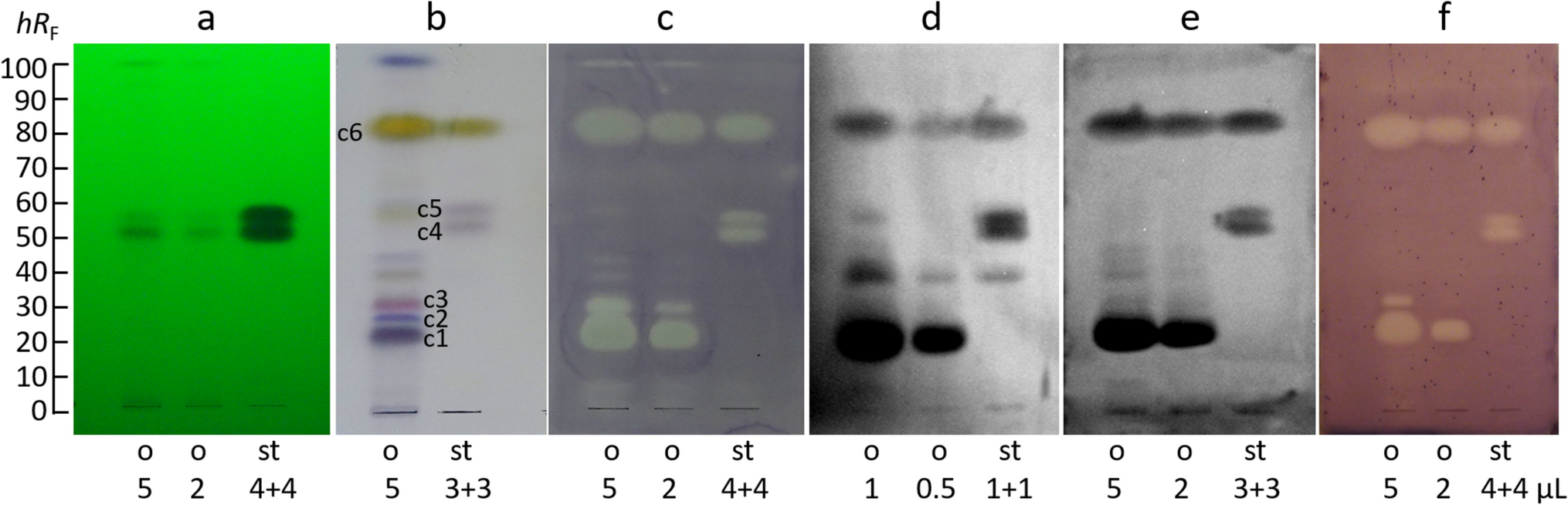 Antibacterial compounds of  essential oil exposed by high-performance thin-layer chromatography–direct bioautography