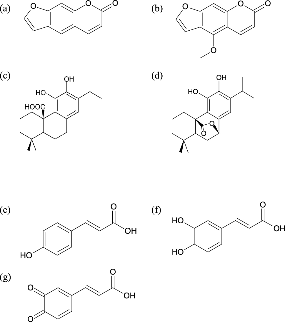 The impact of spontaneous fermentation on phenolic and antioxidant profiles of selected aromatic plant extracts