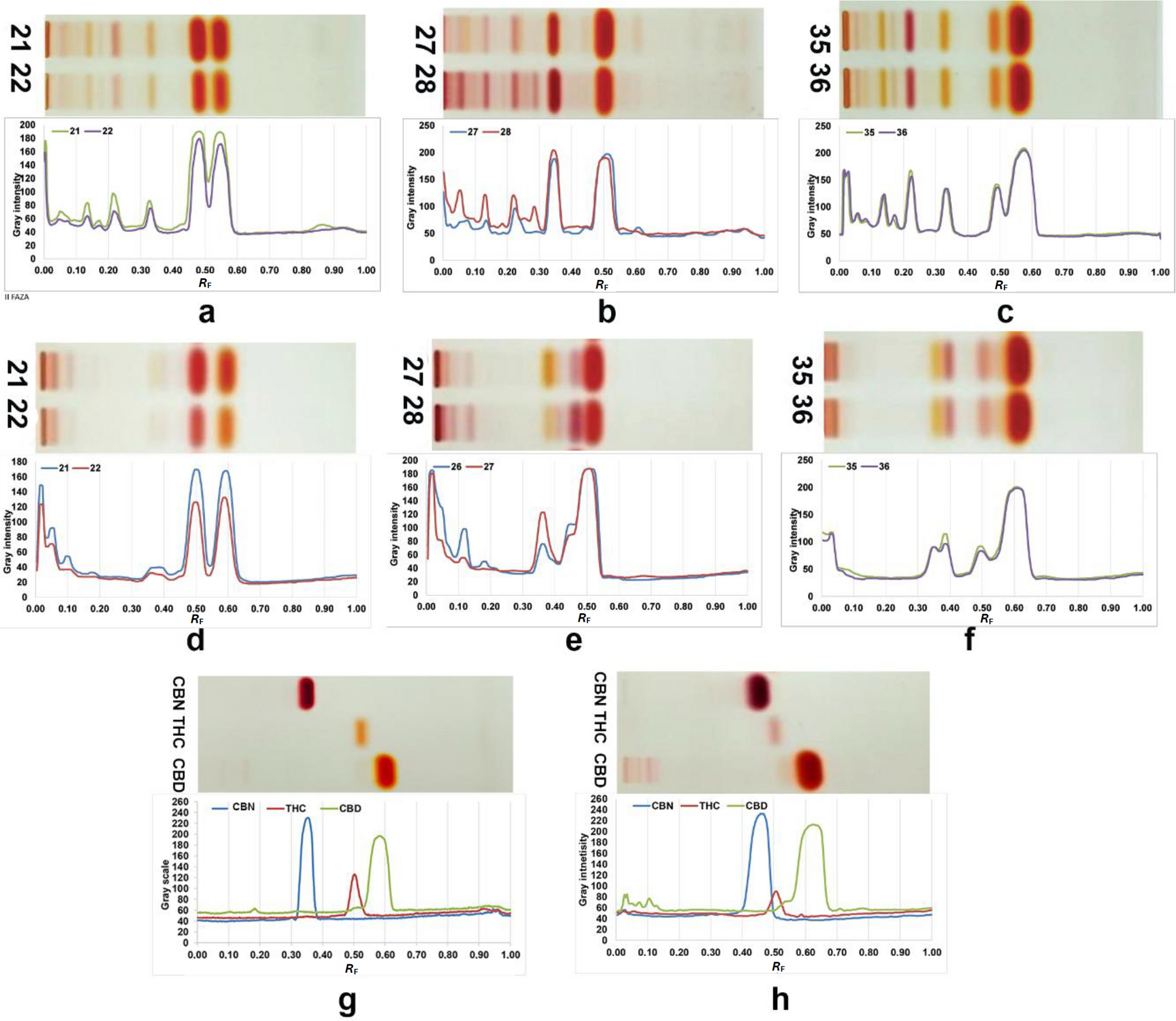 Green analytical strategy for distinguishing  L. chemotypes via planar chromatography and partial least squares regression