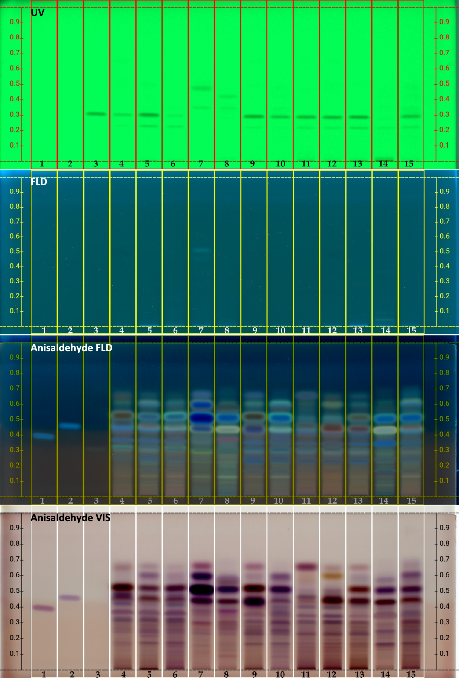sp. oleogum resins: high-performance thin-layer chromatography‒effect-directed pancreatic lipase inhibition profiles and molecular docking studies