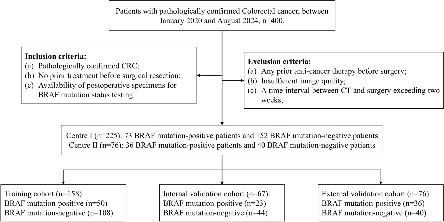 A computed tomography-based radiomics prediction model for BRAF mutation status in colorectal cancer