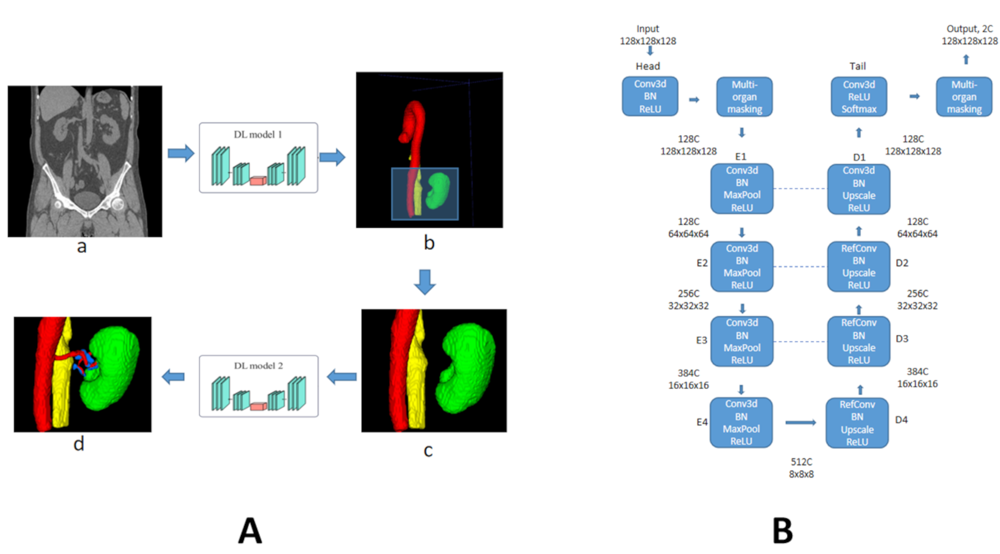 Segmentation of renal vessels on non-enhanced CT images using deep learning models