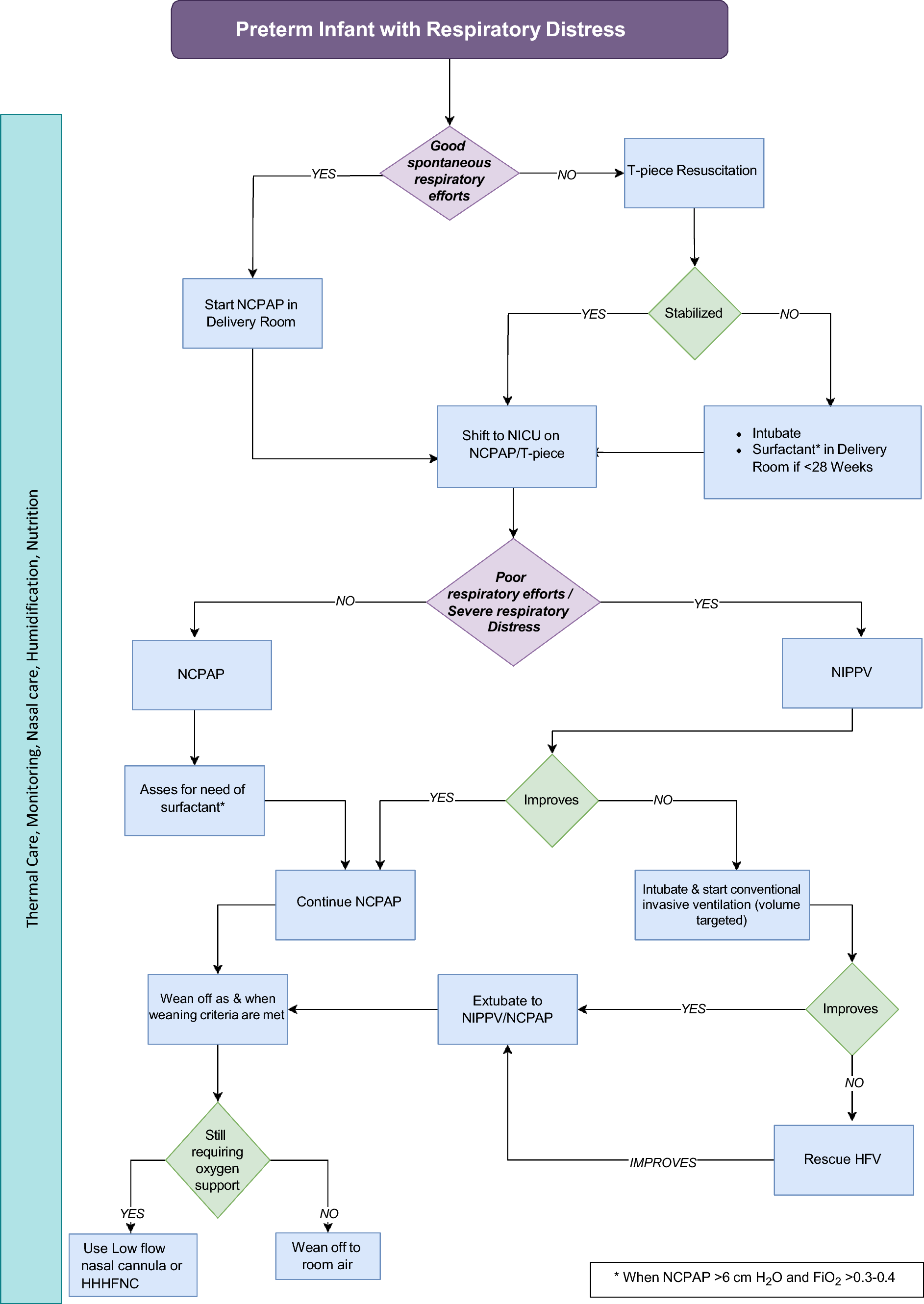 Noninvasive Ventilation Strategies in Neonates