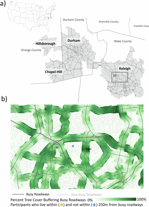 Associations between neighborhood greenery and birth outcomes in a North Carolina cohort