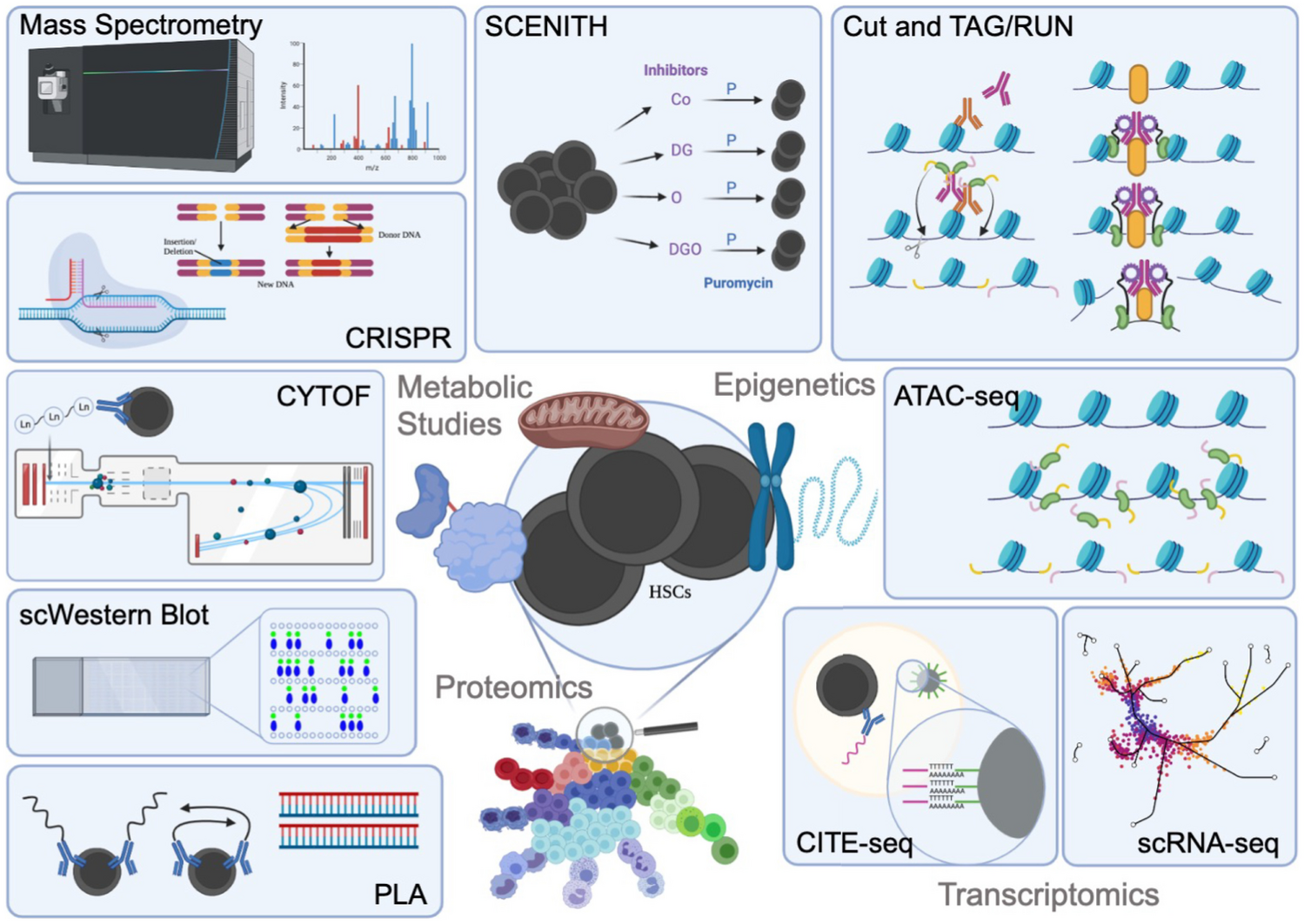Leading Edge Techniques in the Quest for Characterizing Rare Hematopoietic Stem Cells