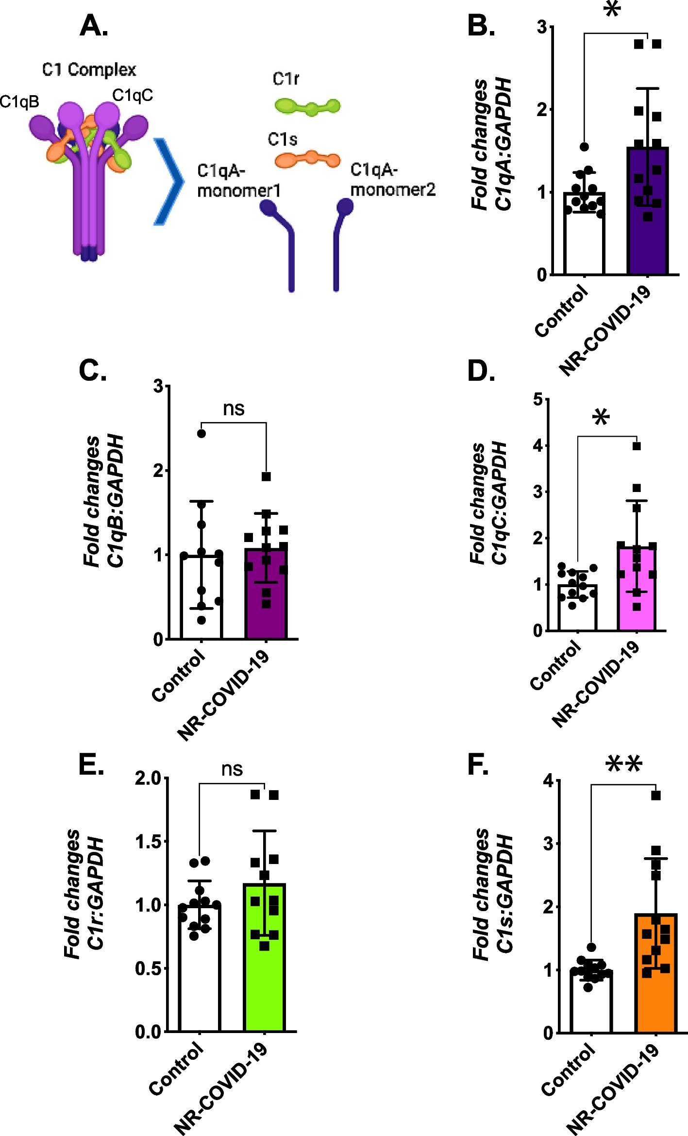 Correction: Complement activity and autophagy are dysregulated in the lungs of patients with nonresolvable COVID‑19 requiring lung transplantation