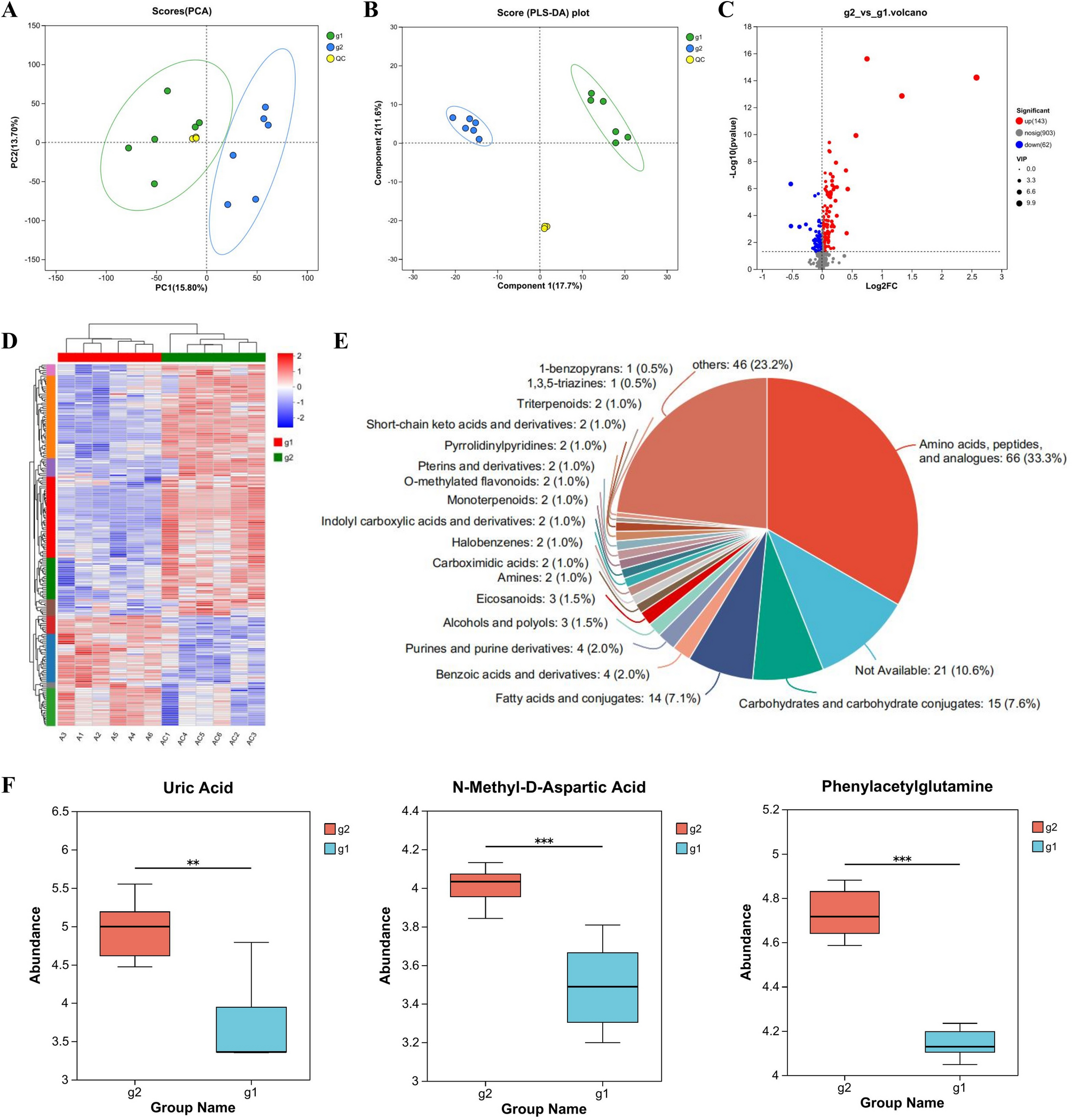 Phenylacetylglutamine produced from injury lung alveolar epithelial cells promotes the function of BMSCs by regulating NONRATT006276.2/Mapt pathway