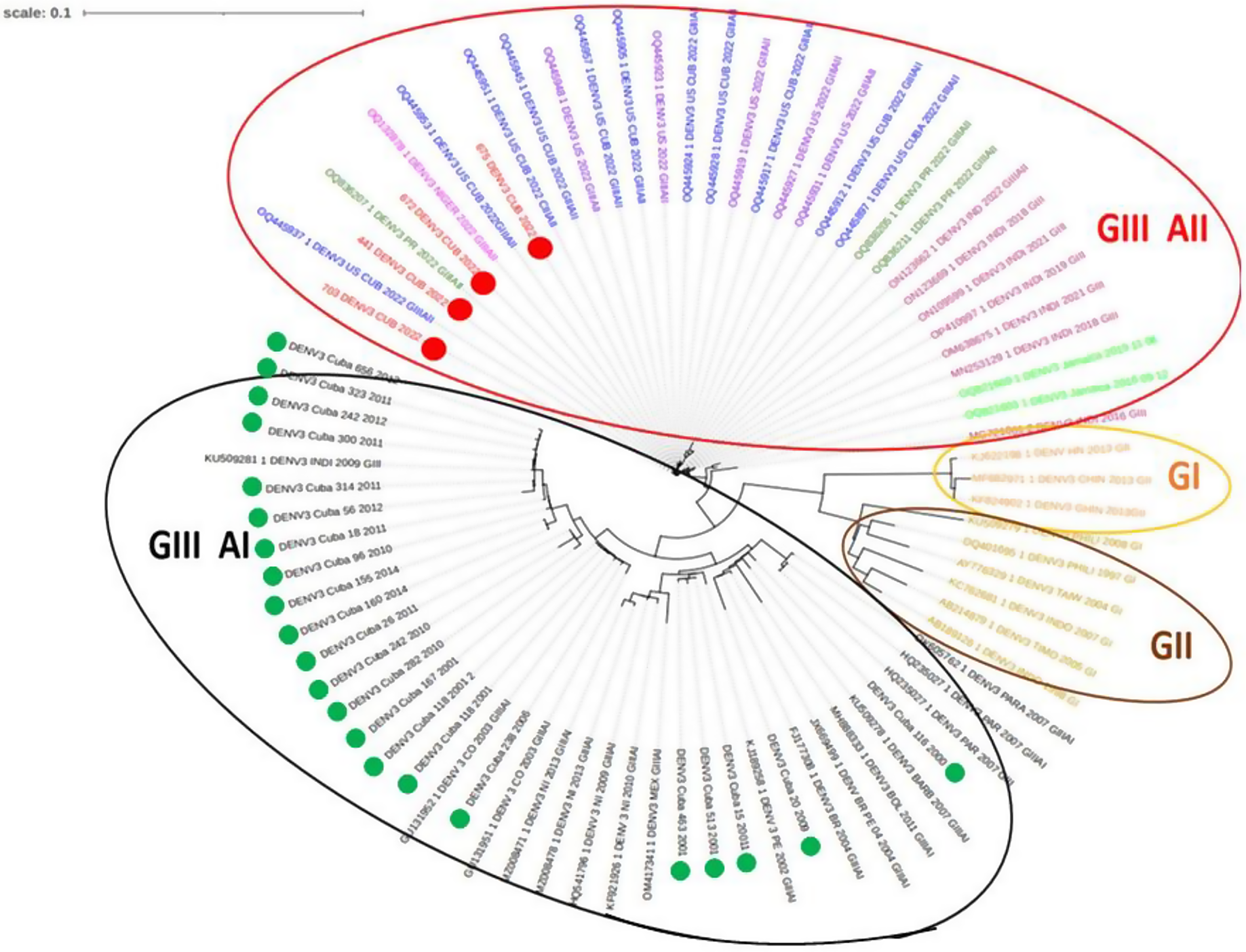 Emergence of a New Lineage of Dengue 3 Virus in Cuba