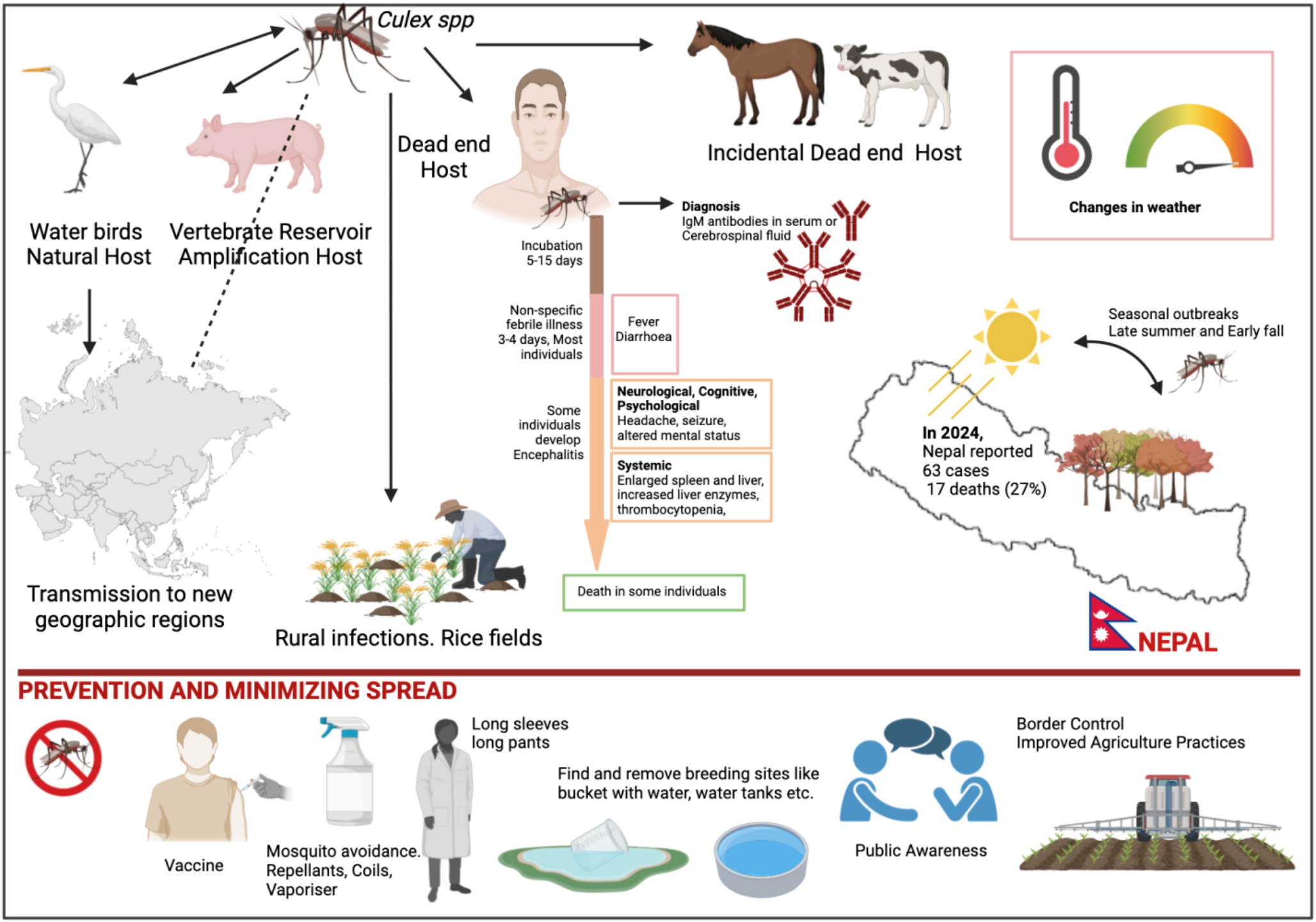 The Revolving Outbreaks of Japanese Encephalitis in Nepal