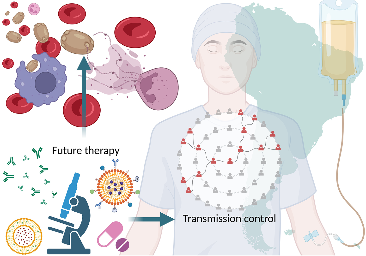 Alert in South America: An Epidemiological and Therapeutic Update
