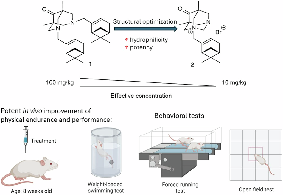 3,7-Diazabicyclo[3.3.1]nonanes and 1,3-diazaadamantanes containing monoterpenoid moieties as synthetic adaptogens: synthesis, ADMET predictions, and in vivo biological activity
