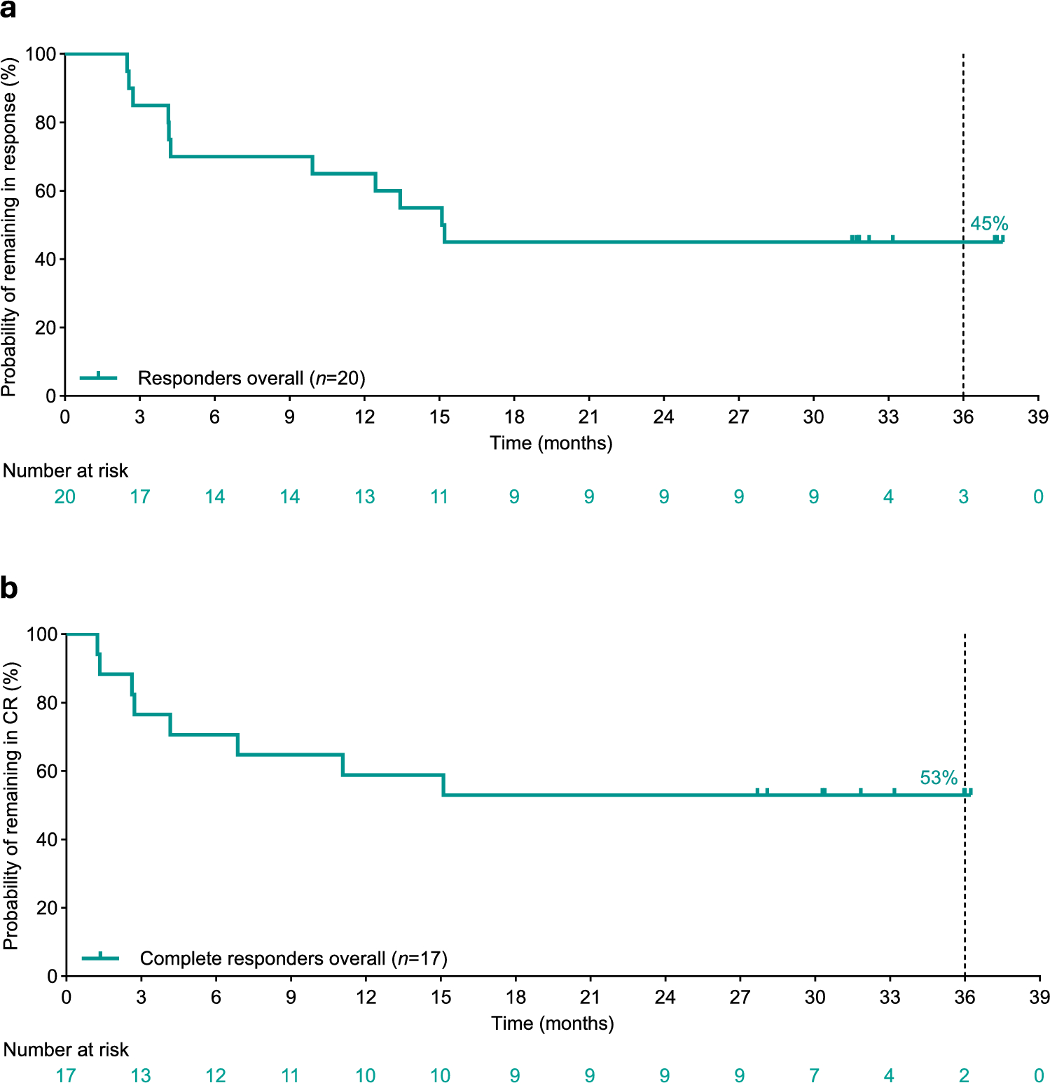 Efficacy and safety of epcoritamab in Japanese patients with relapsed or refractory diffuse large B-cell lymphoma: 3-year follow-up from the EPCORE NHL-3 trial