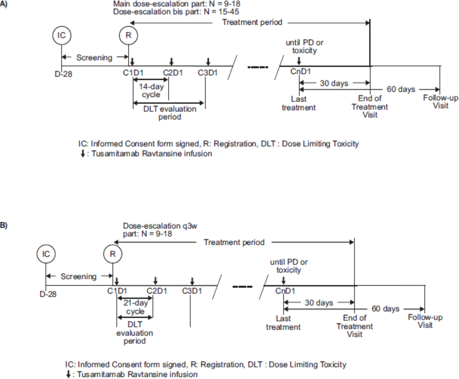 Phase 1 study evaluating safety and pharmacokinetics of tusamitamab ravtansine monotherapy in Japanese patients with advanced malignant solid tumors