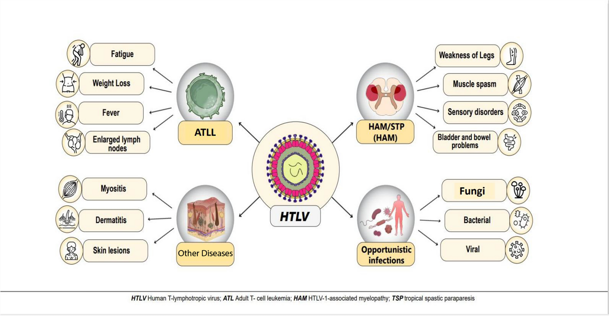 HTLV-1 infection and microRNAs: unraveling the complex crosstalk