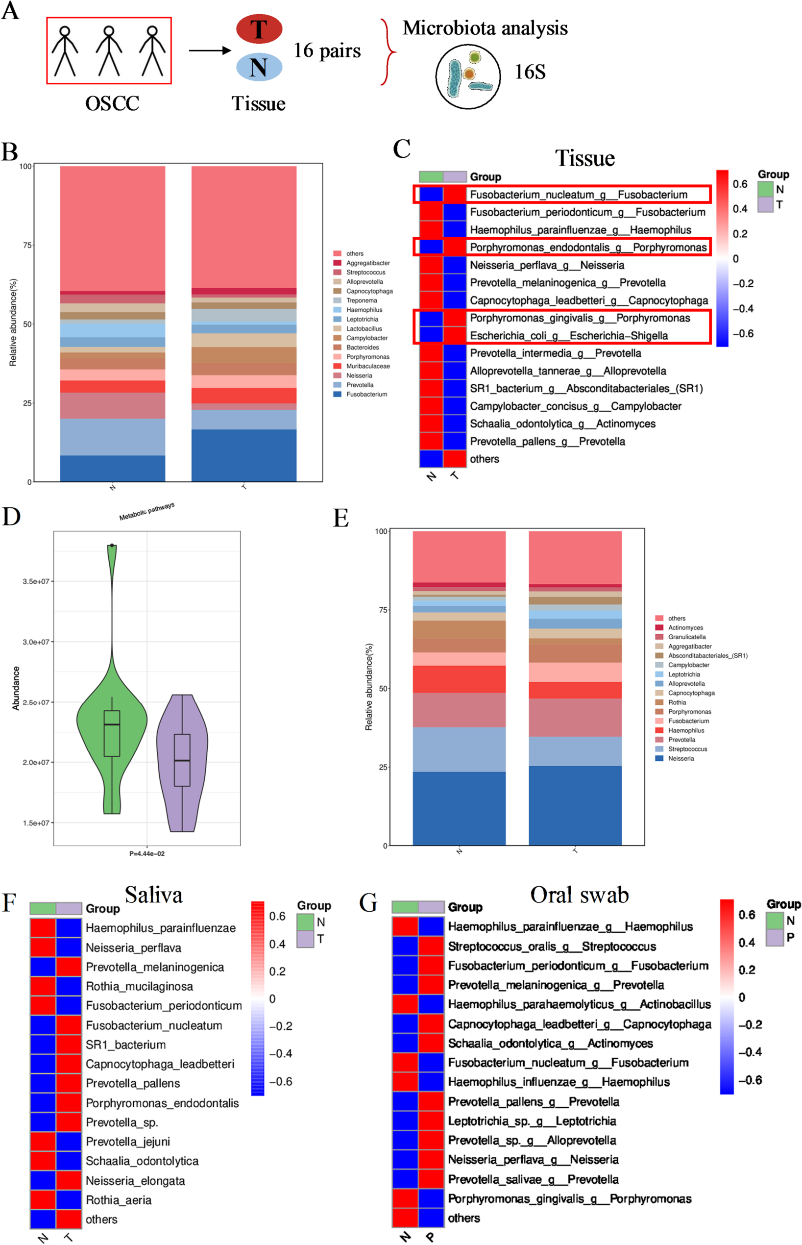 Microbiota and metabolite profiles of saliva, oral swab and cancer tissue from patients with oral squamous cell carcinoma (OSCC)