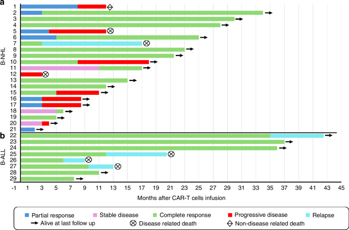 Clinical outcomes of a new local CD19 CAR-T cell therapy for patients with relapsed or refractory acute lymphoblastic leukemia and non-Hodgkin lymphoma in Malaysia
