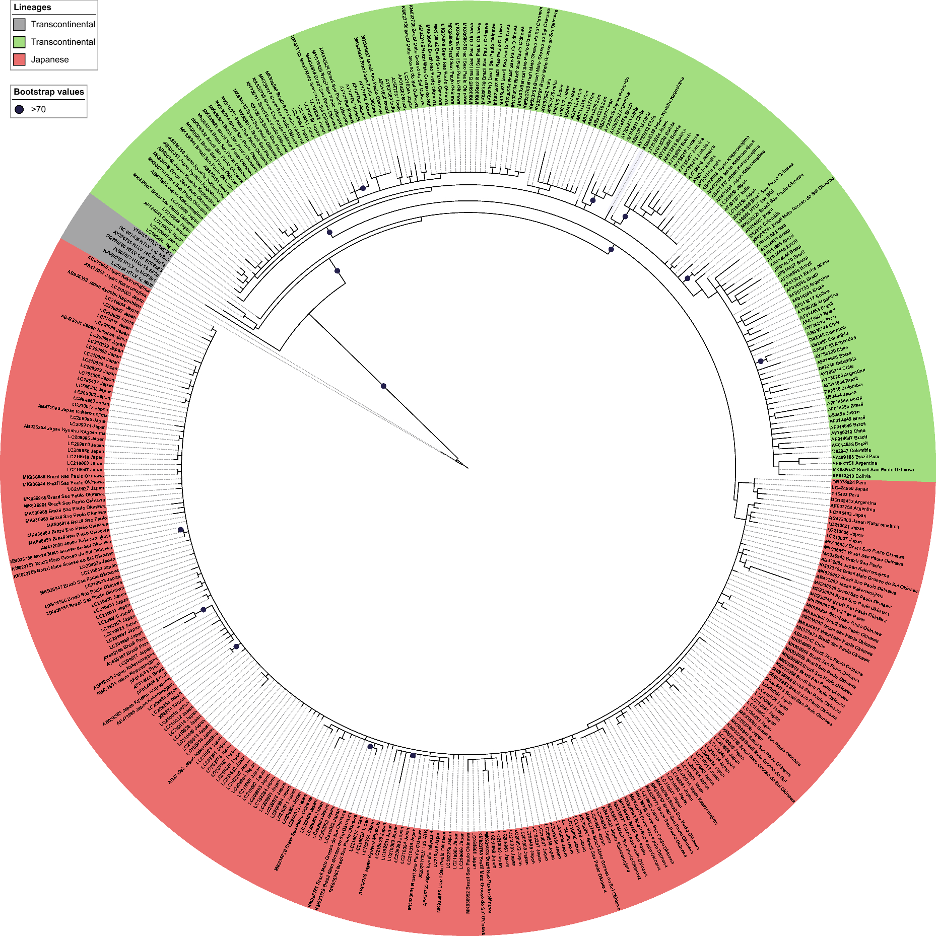 HTLV-1 Japanese subgroup in Brazil: phylogenetic and migratory history