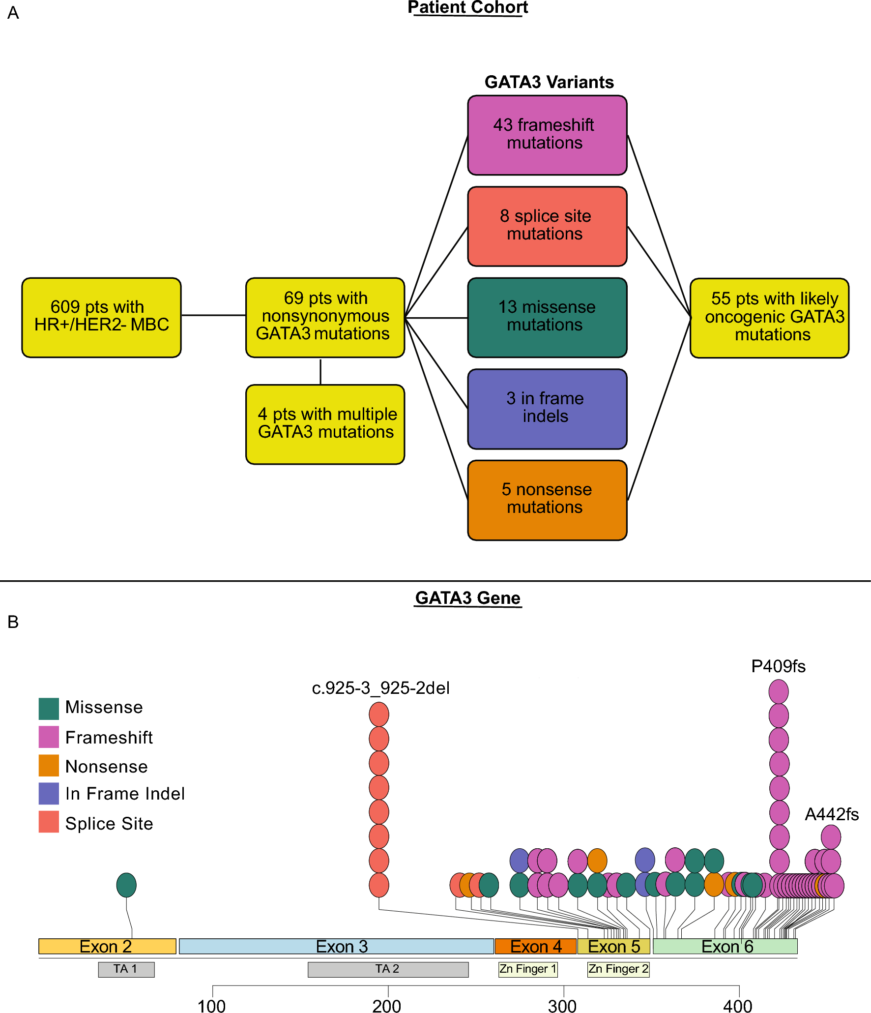 Genomic and proteomic profiling of  mutant metastatic hormone receptor-positive breast cancer and impact on clinical outcomes