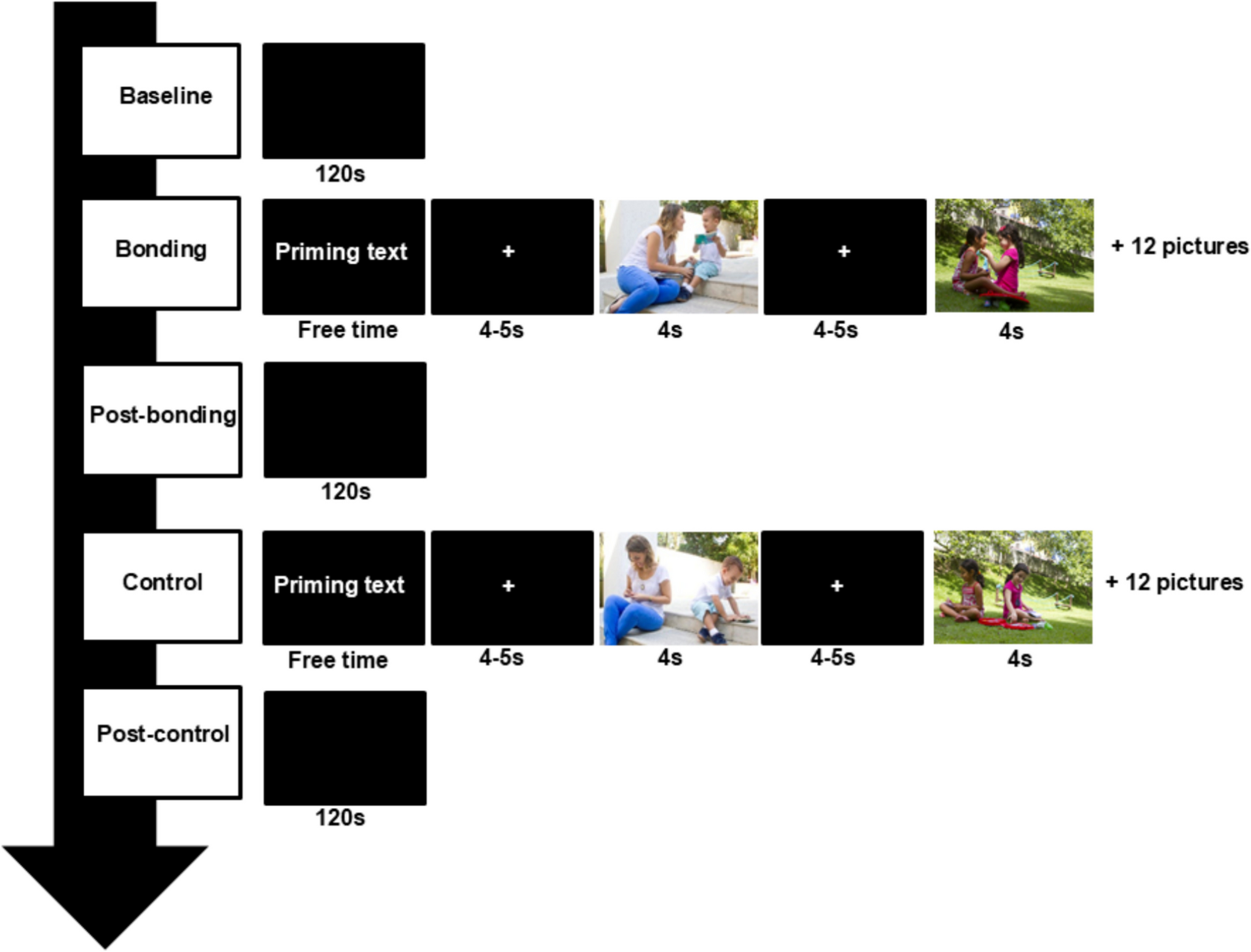 Passively Viewing Social Bonding Cues Decreases Vagally Mediated Heart Rate Variability