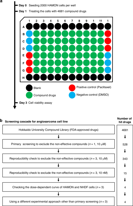 An FDA-approved drug library screening identifies proteasome inhibitors as selective cytotoxic agents for angiosarcoma cells