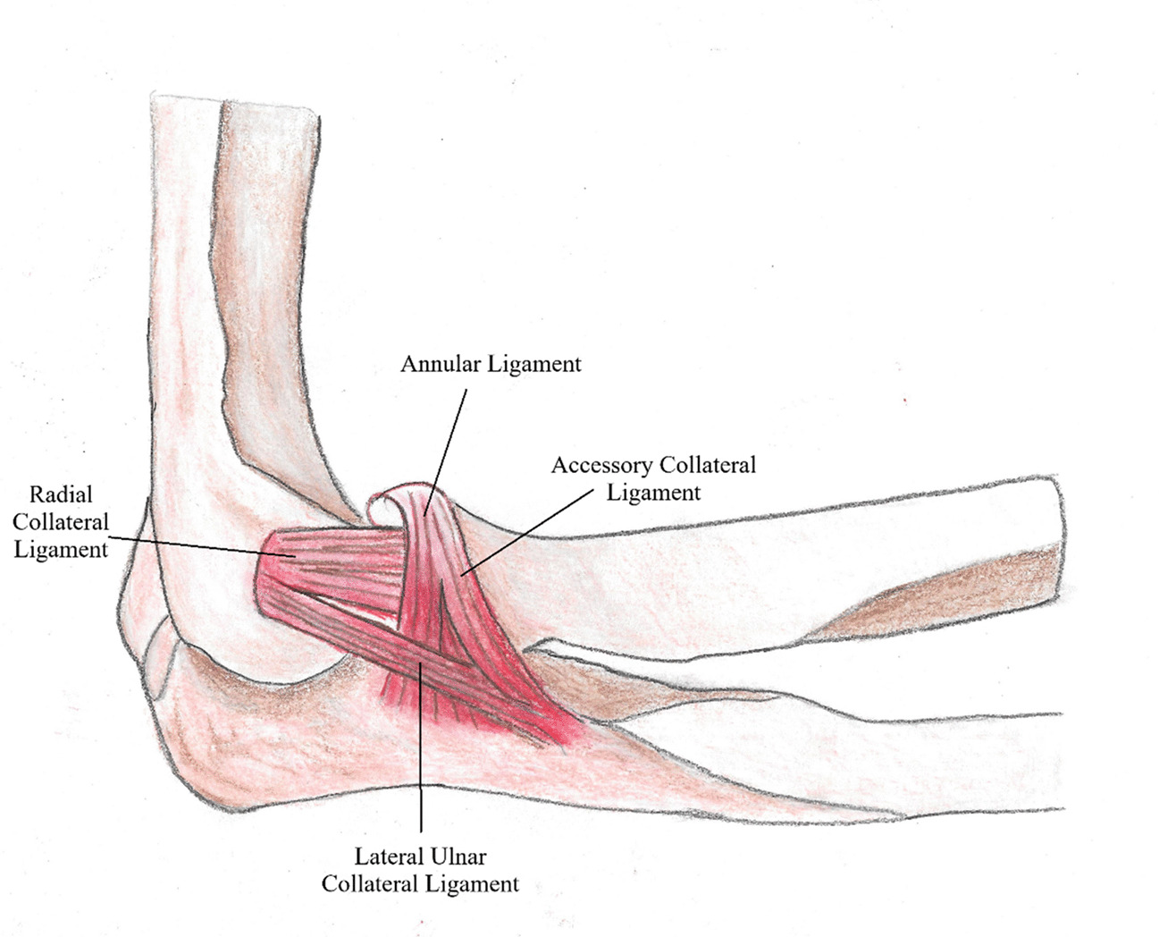 Anatomical considerations, diagnosis, and treatment of medial and posterolateral elbow rotatory instability in athletes: an arthroscopic perspective and literature review