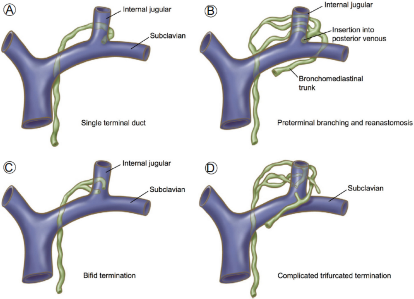 Central Lymphatic Obstruction