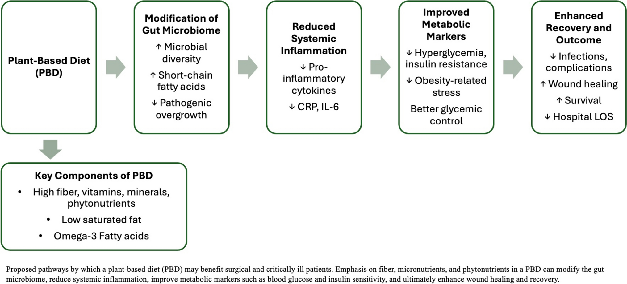 Implications of a Plant-Based Diet in the Surgical and Critically Ill Patient