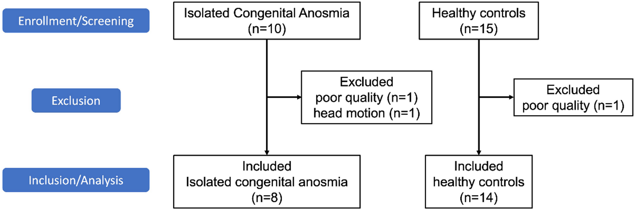 Altered white matter architecture in patients with isolated congenital anosmia