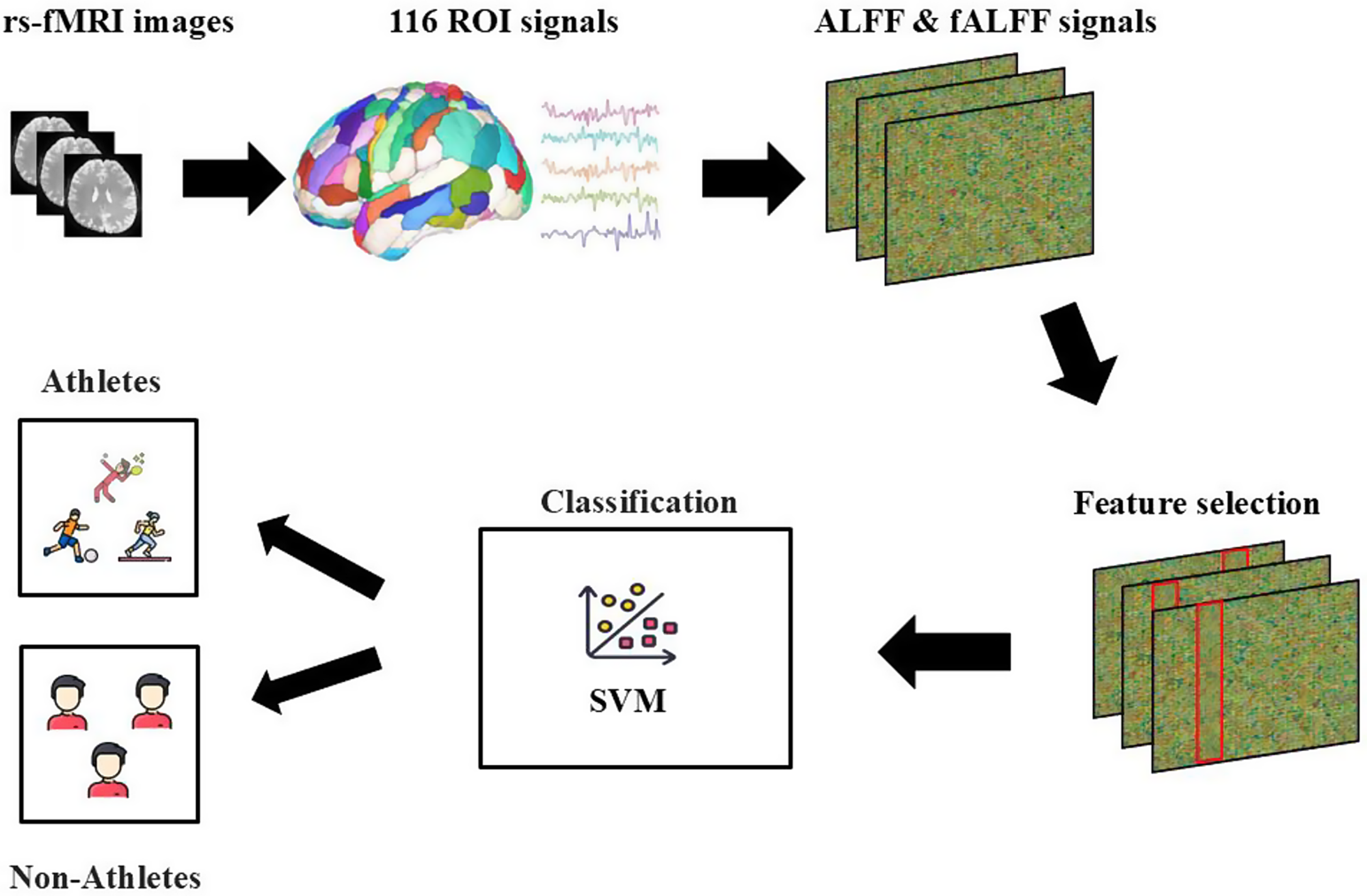 Classifying athletes and non-athletes by differences in spontaneous brain activity: a machine learning and fMRI study