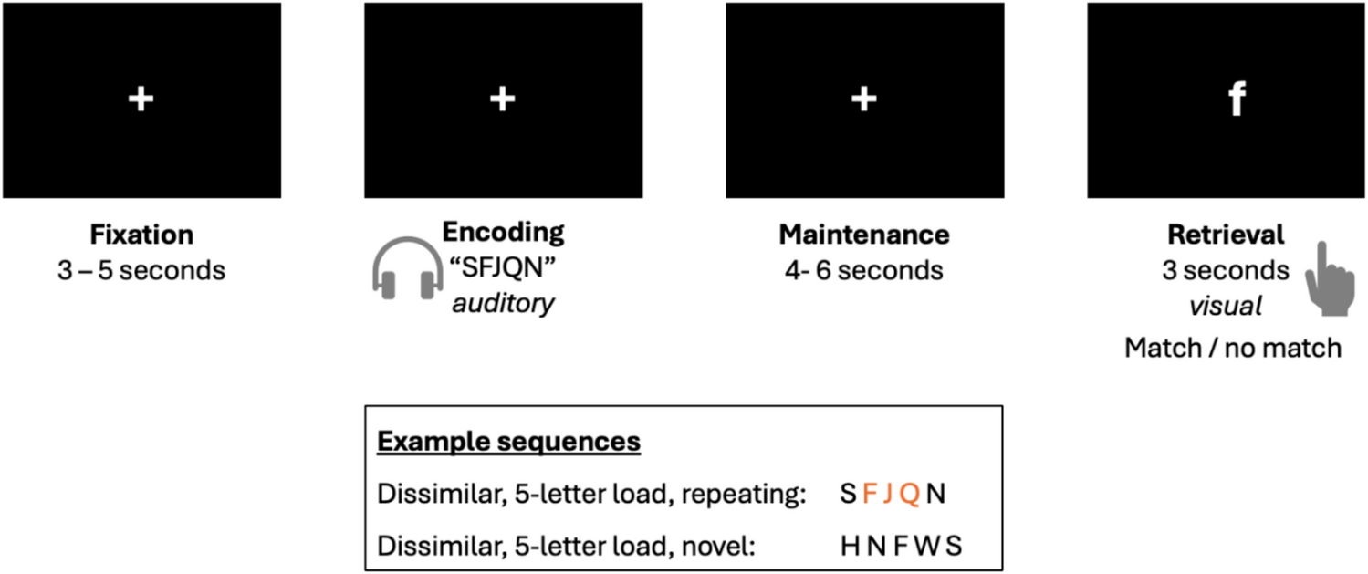 Dynamic inferior olive activation in a cognitive task: an fMRI study