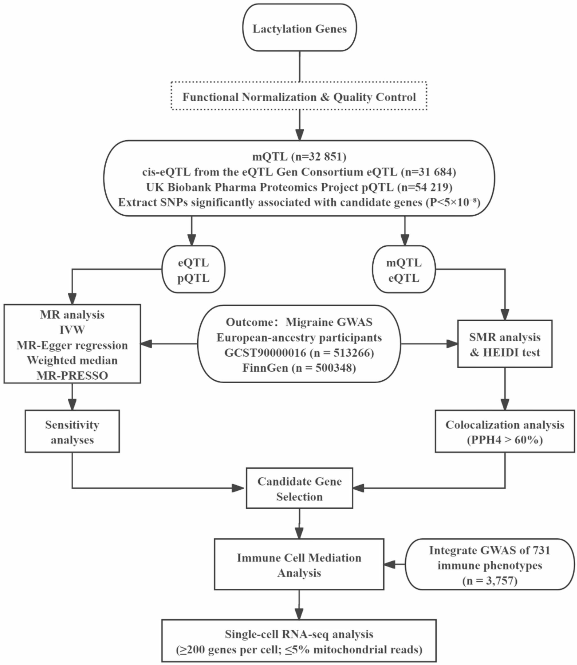 The lactylation–immune regulatory axis: a potential therapeutic target for migraine prevention and treatment