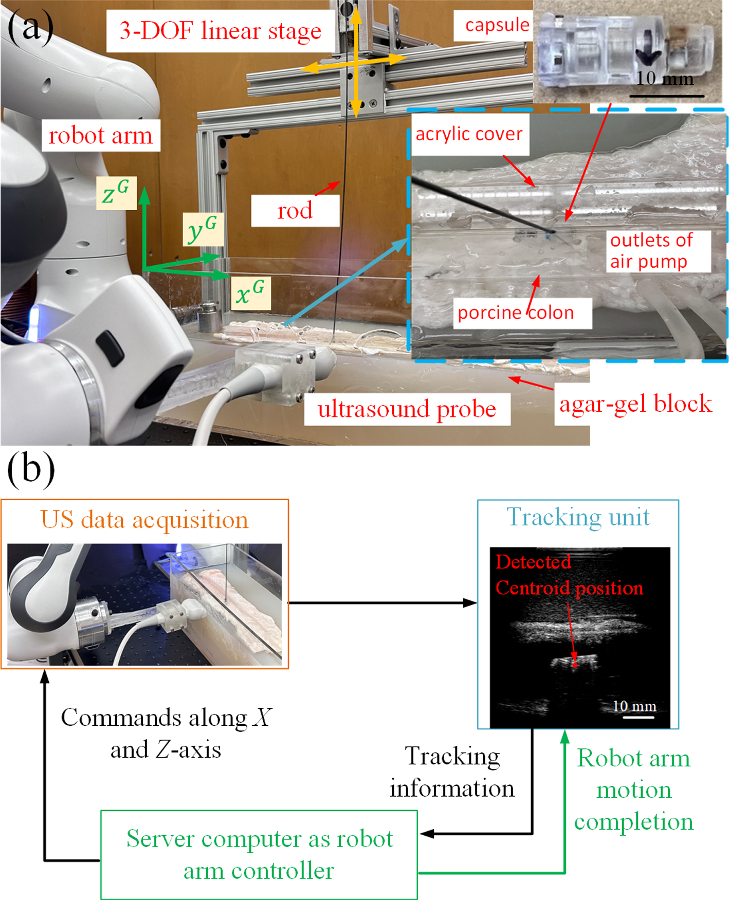 Transformer-based robotic ultrasound 3D tracking for capsule robot in GI tract