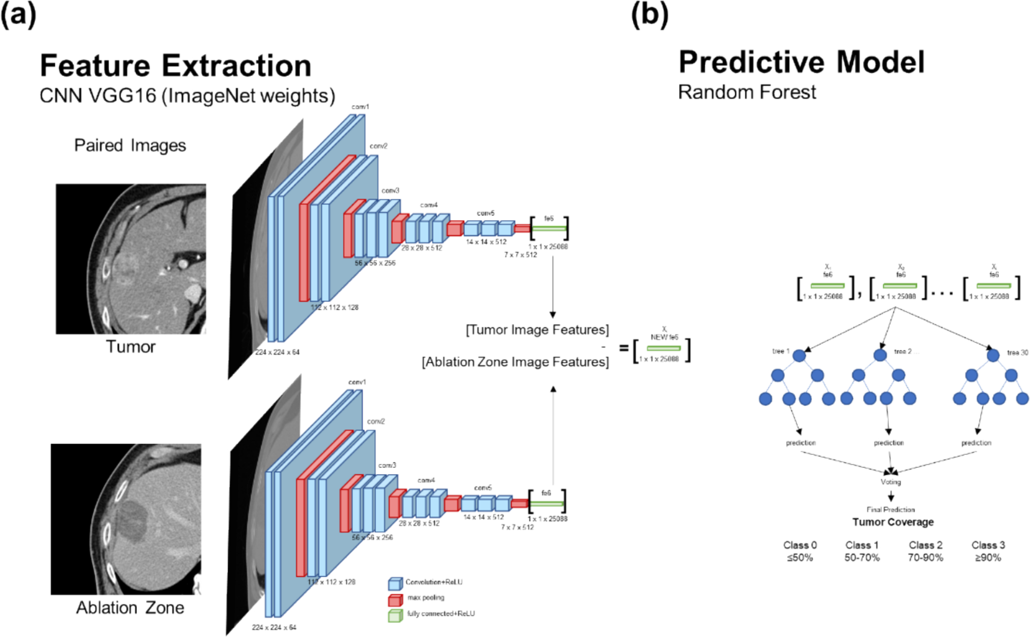 Estimation of tumor coverage after RF ablation of hepatocellular carcinoma using single 2D image slices