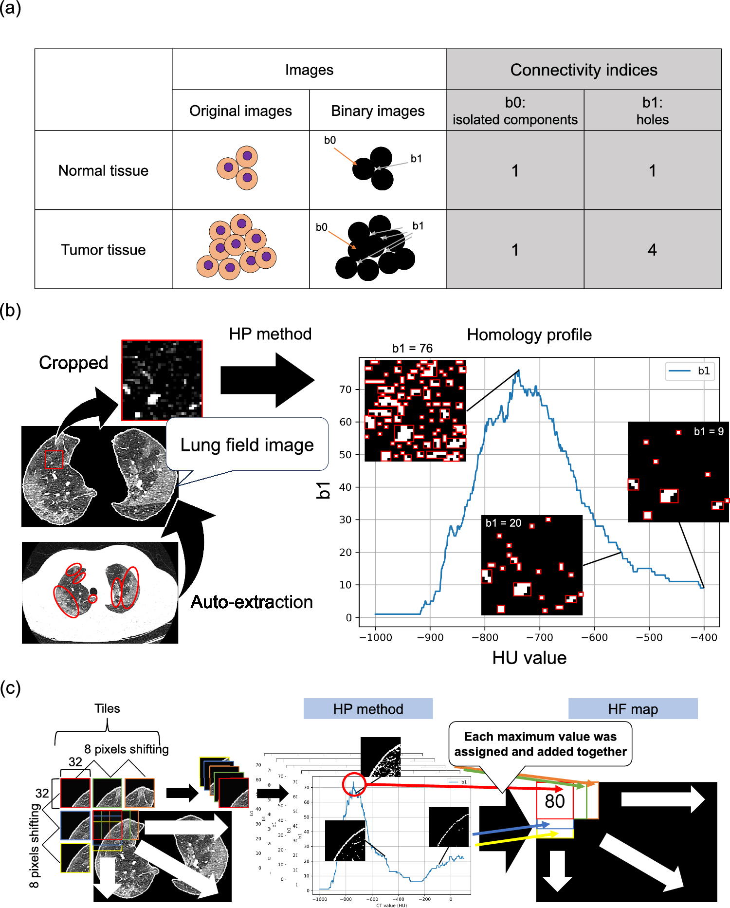 Homology-feature-assisted quantification of fibrotic lesions in computed tomography images: a proof of concept for CT image feature-based prediction for gene-expression-distribution