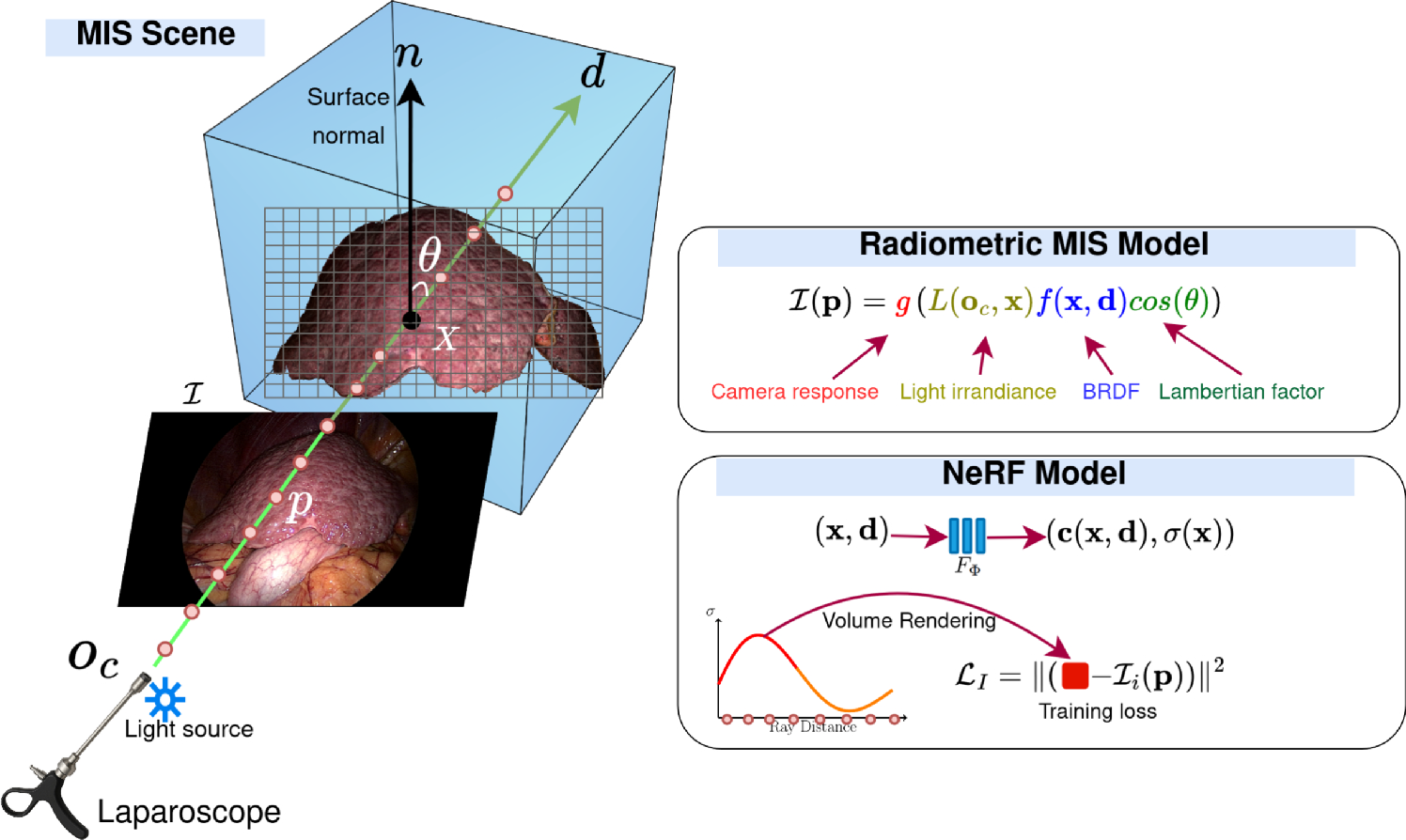 MIS-NeRF: neural radiance fields in minimally-invasive surgery