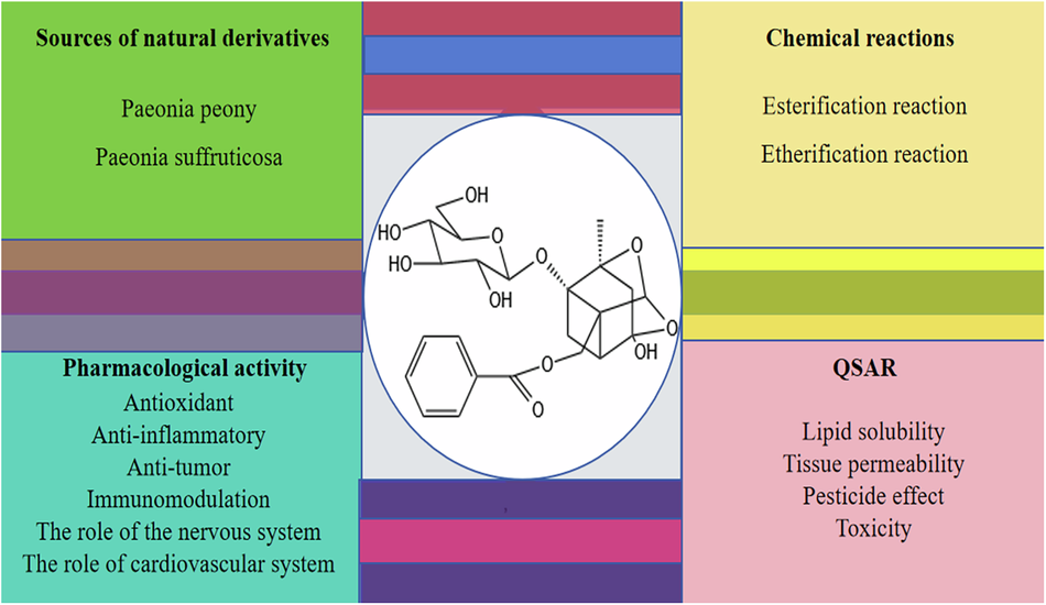 Summary of paeoniflorin derivatives and their biological activities