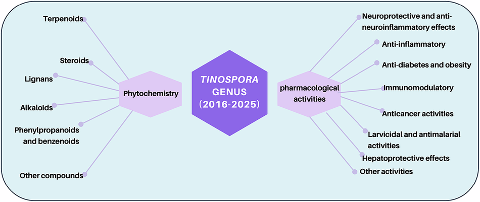 Phytochemistry and pharmacological activities of  genus: An updated review