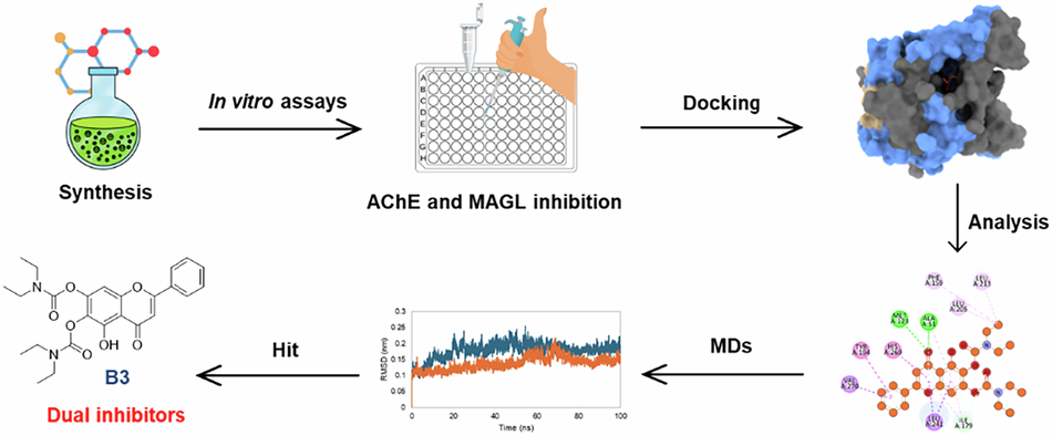 Carbamoyl flavonoids as dual inhibitors of acetylcholinesterase and monoacylglycerol lipase: synthesis, in vitro evaluation, and computational studies