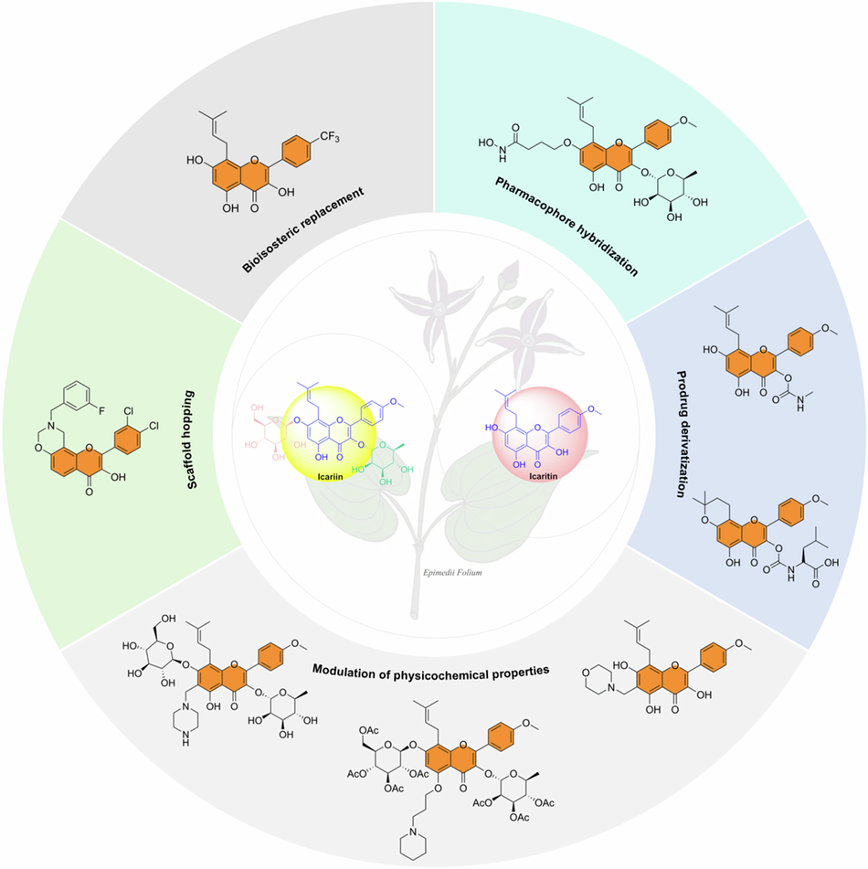 Prenylated flavonoids icariin and icaritin for drug discovery: structural modifications and bioactivity studies