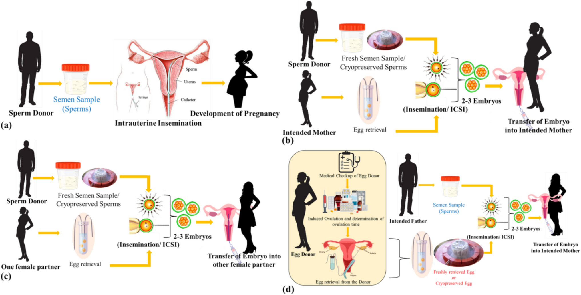 Genealogically bewildered individuals and forensic identification: a review of current and emerging solutions