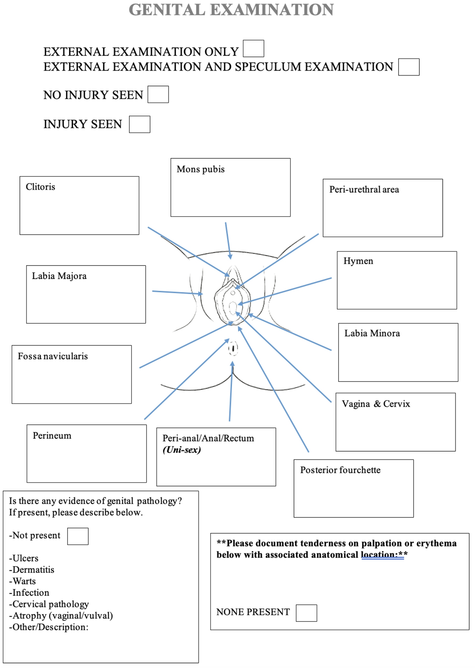 Genital and anal injury in women after sexual assault: prevalence rates and associated risk factors in 294 cases