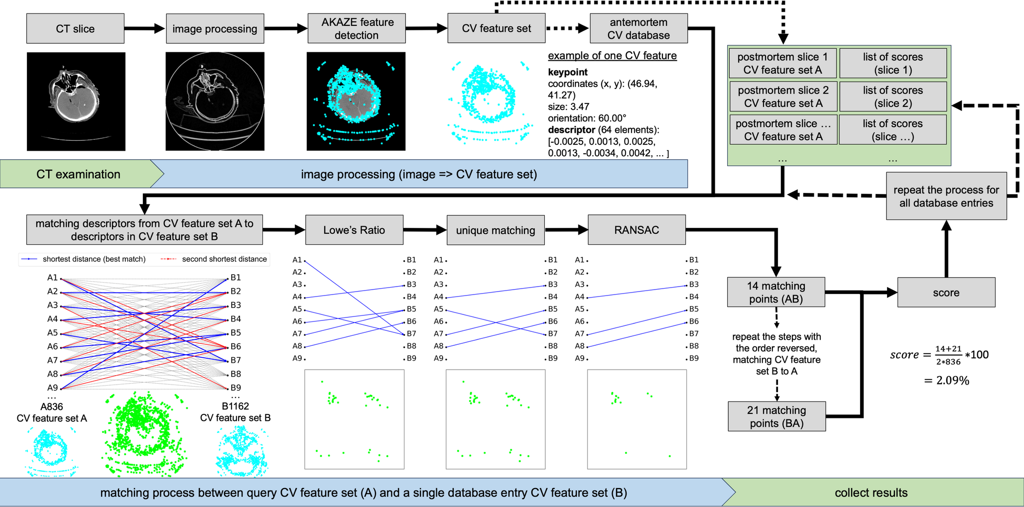 Automated identification of unknown decedents: matching postmortem CT images with clinical databases
