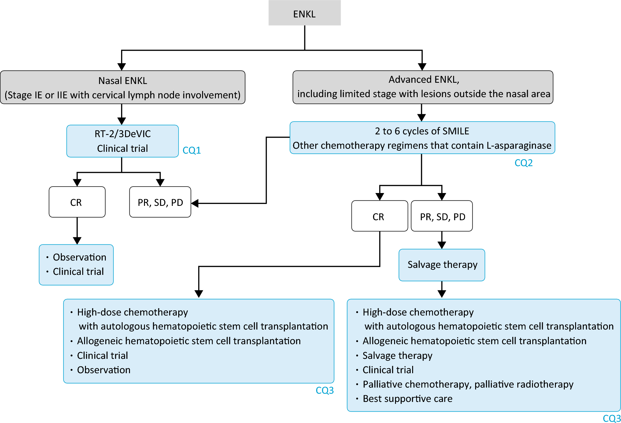 JSH practical guidelines for hematological malignancies, 2023: II. Lymphoma 8. Extranodal NK/T-cell lymphoma, nasal type (ENKL)