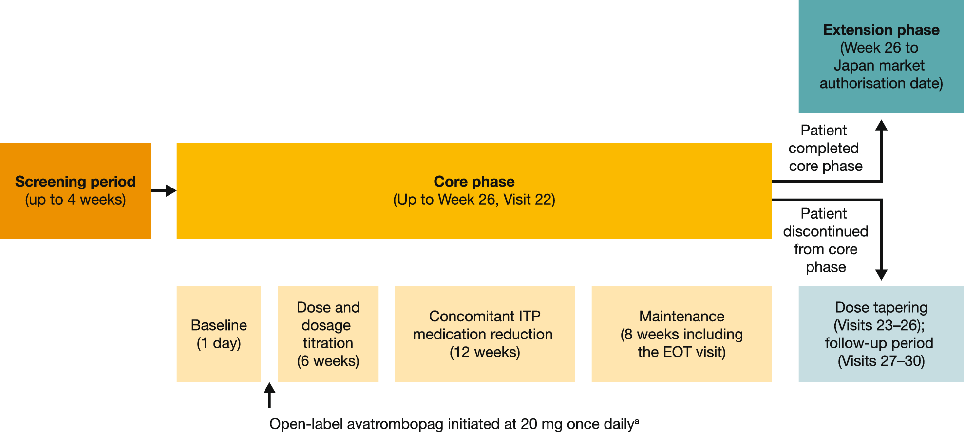 A phase 3 study of the efficacy and safety of avatrombopag in Japanese adults with chronic immune thrombocytopenia