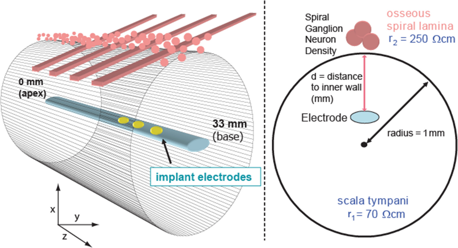 Model-Based Inference of Electrode Distance and Neuronal Density from Measured Detection Thresholds in Cochlear Implant Listeners
