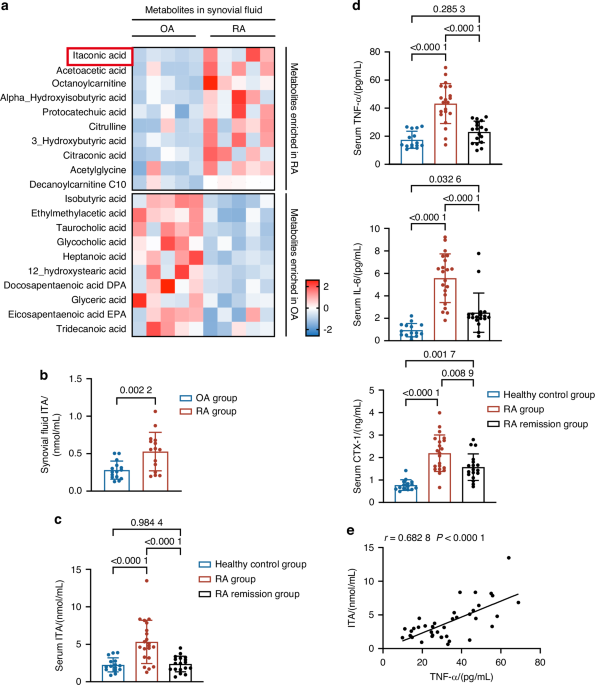 Inflammatory macrophage-derived itaconate inhibits DNA demethylase TET2 to prevent excessive osteoclast activation in rheumatoid arthritis