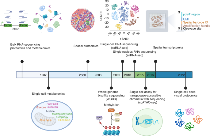 Current cutting-edge omics techniques on musculoskeletal tissues and diseases